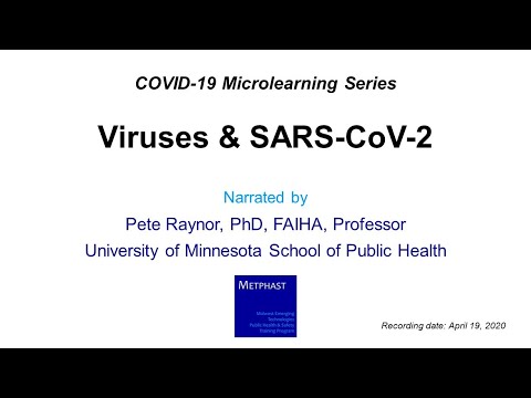 Viruses & SARS-CoV-2
