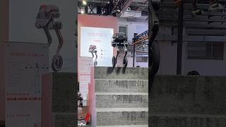 Wheel-Leg Robot Wows Crowd: Stunning Balance Climbing Stairs #robot #future