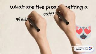 Pros and Cons Definition