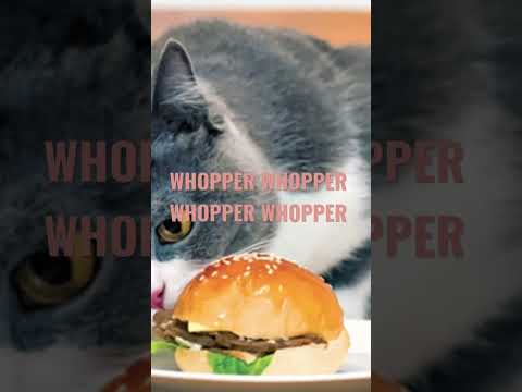 We gonna eat big 😮‍💨#burgerking #whopper #shorts #commercial #cats