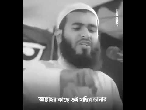 আপনি বুঝেন শির্ক কি? শাইখ জামশেদ মজুমদার ❤️