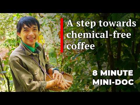 The Sustainable Coffee Revolution We Need