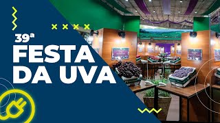Festa da Uva: tradição e uma programação para todos os gostos