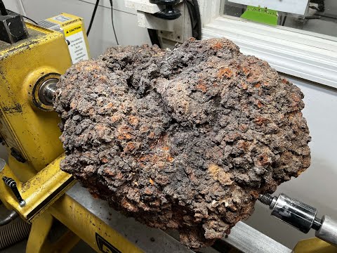 Cherry Burl Transformation — Wild Grain and Organic Form