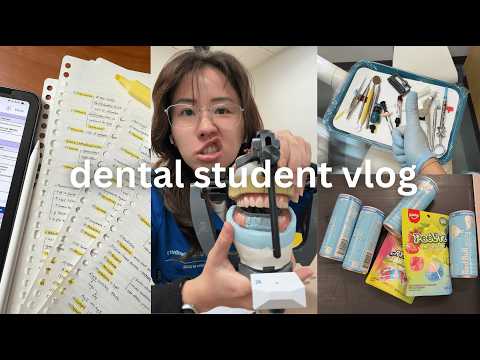 realistic dental student study vlog