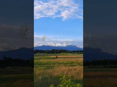 She Loves Documenting Her Little Life 🌸 | #aestheticshorts