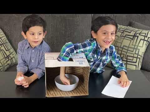 What's In The Box Challenge