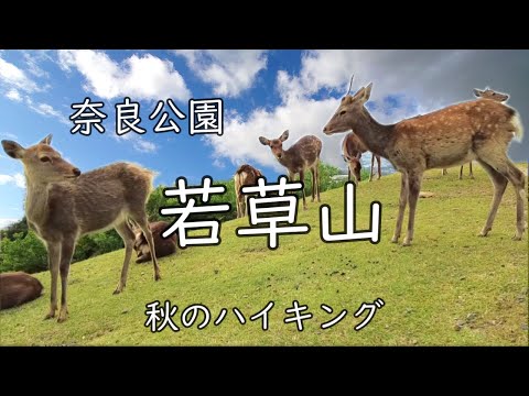 [Wakakusa-yama] Nara Park Hiking while watching deer at Mount Wakakusa in autumn