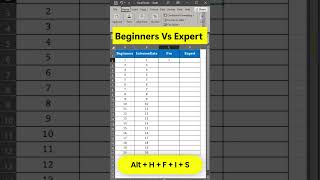 🎓 Excel Beginner vs Expert – What’s the Difference?   #ExcelTips #ExcelBeginner #ExcelExpert