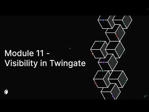 Getting Started 11 | Visibility in Twingate