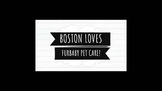 BOSTON GOES TO FURBABY!