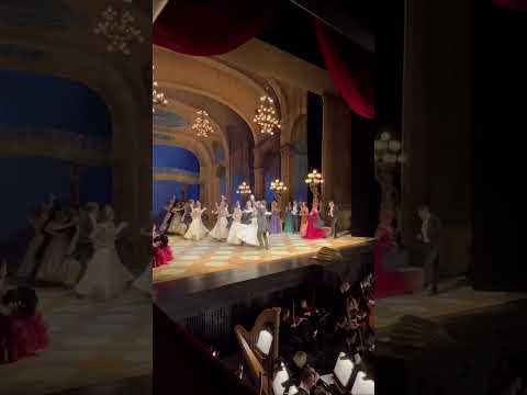 Two absolutely amazing Operetta you have to watch in Volksoper Vienna