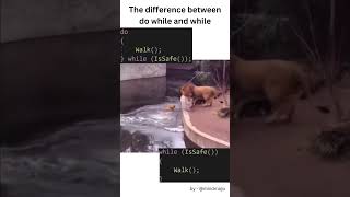 😅 Do While and While #developermemes #codingmemes #funny #comedy #Programmingmemes