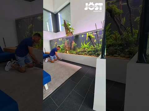 Gede banget aquariumnya, sudah kayak lemari aja 😱😱 #aquarium #fish