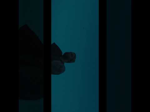 iPhone 15 Cinematic Video Apple LOG | Anamorphic Lens