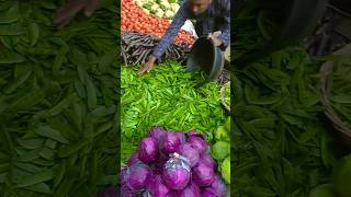 #viral video farming short @firojroxbangalitv #farming vegetable #village #ambari  #bangladesh