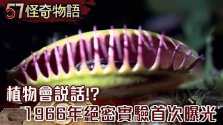 植物會說話！1966年絕密實驗首次曝光 CIA意外打開結界？草木偷偷觀察人類…【57怪奇物語】@57StrangerThings