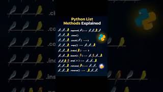python quiz MCQ test master #pythonhindi #coding #pythonanddjangofullstackwebdeveloper #python