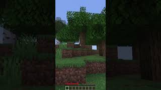 Walking In A Straight Line Until I Mine A Grass Block  #minecraft #gaming