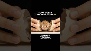 Your Birth Month Your Rare Kitten #kitties #asmr #animals #usa #english
