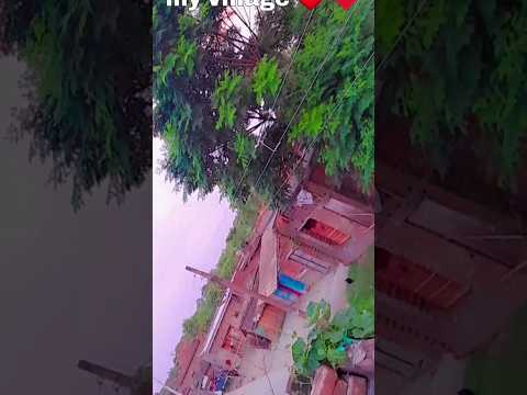 My Village #shorts #shortsfeed #myvillage #shortsviral #trendingshorts #shortsyoutube #trendindvideo