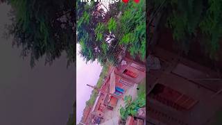 My Village #shorts #shortsfeed #myvillage #shortsviral #trendingshorts #shortsyoutube #trendindvideo