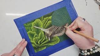 Texture Thursdays - Texture Study 24 Snail in Soft Pastels