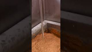 The Mushy Making of A Hot Dog | How it's Made | Science Channel
