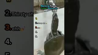 Ranking Funny Turtle Moments💀