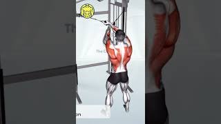 Clinical Blueprint for : LATERAL PULLDOWN | CABLE CROSSOVER