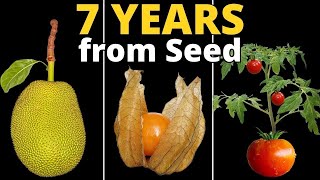 I Grew 18 Plants From Seed to Make this TIMELAPSE Compilation!