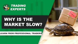 Why The Stock Market Is Slow | w/Trading Experts