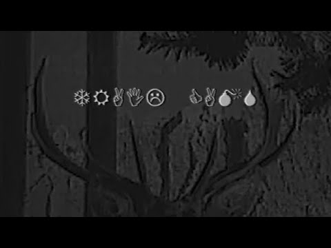 TAPE 5: TRAIL CAMS - WELCOME TO GLOAMING COUNTY