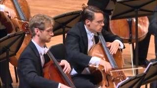 The Flight of the Bumblebee