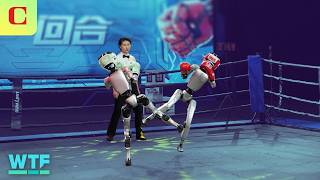 Unitree G1 Humanoid Robot Boxing: All the WILDEST Highlights | What The Future
