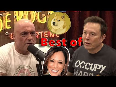 Best of Elon Musk's Latest Joe Rogan Appearance : DOGE, Taxes, Government and Epstein