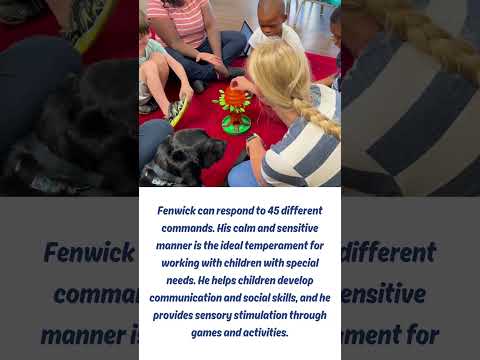 Canine Companion: Fenwick!