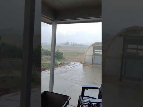 Summer Rain