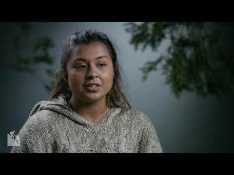 An Holistic Approach to Learning and Growth.