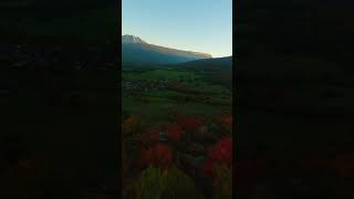 Autumn colors🍁 #fpvdrone  #fpvpilot #photographer #videographer  #fpvcinematic #epicview #dronefpv