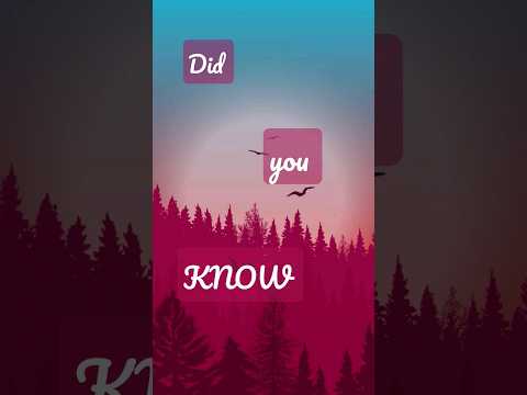 Did you know ?!