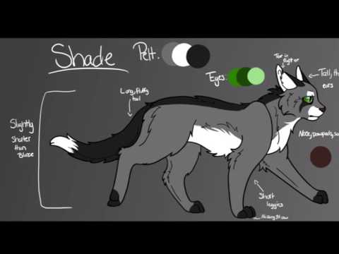 Shade Audition | Secret of the Stone