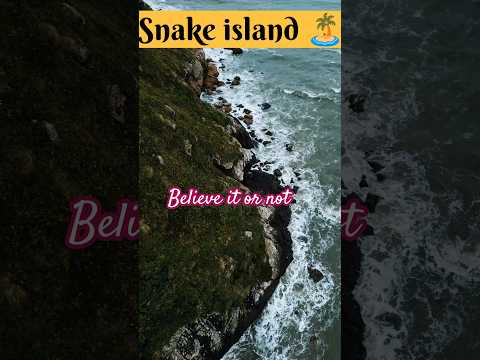 Snake Island in Brazil #snakeislandbrazil #snakevideo #snake #information #tamilnews #tamilinfofacts