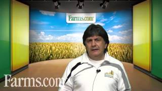 USDA Hogs and Pigs Report: Good News for Pork Producers with Lean Hog Futures.