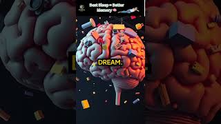 Best Sleep Position for Memory Boost Revealed! 🧠🛏️#SleepHacks #MemoryBoost
