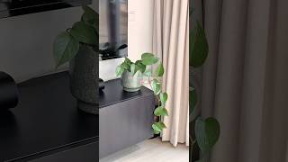 Home details and spring vibes✨🌸 #asmr #homemade #homelifevlogger #homeorganization #springvibes