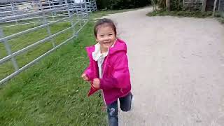 @swiss    Gala Gala lng  2025