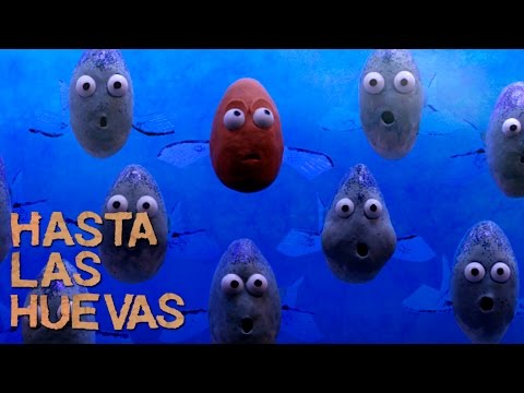 Hasta las huevas