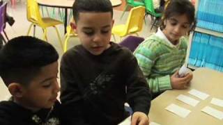 The UDL Guidelines