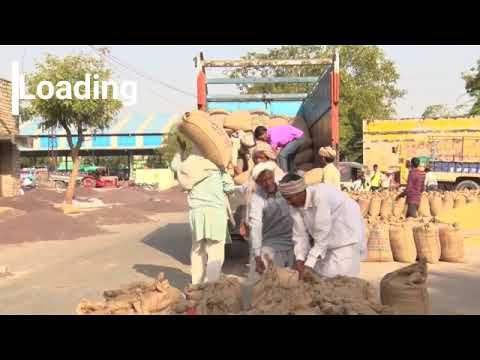 Foss at Mandi Grain Trading in India